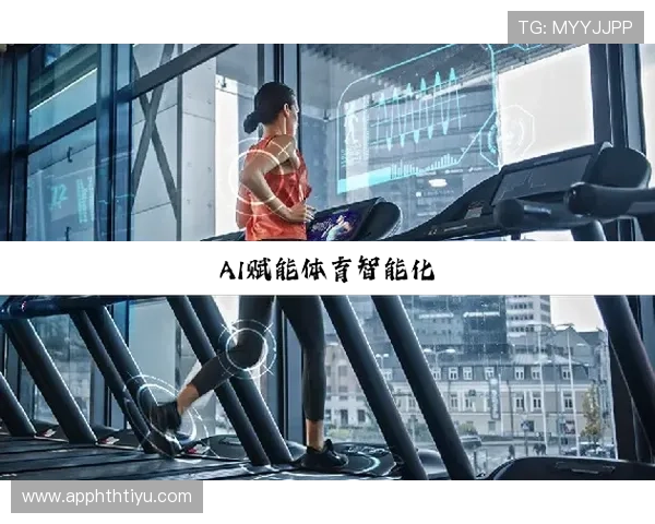 深入解析hth华体会体育官网的用户体验与服务质量